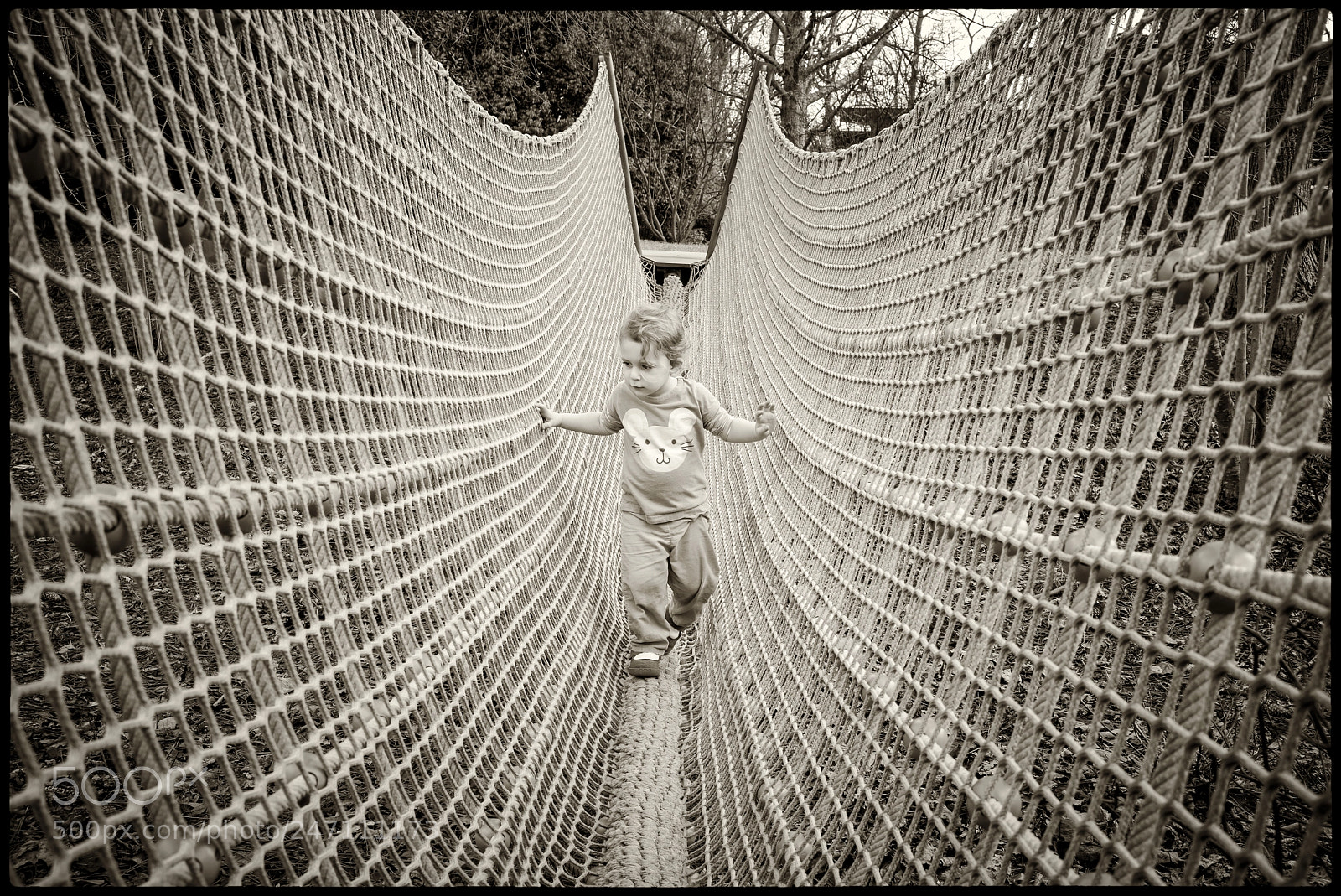 Leica M Monochrom (Typ 246) sample photo. Walking the net photography