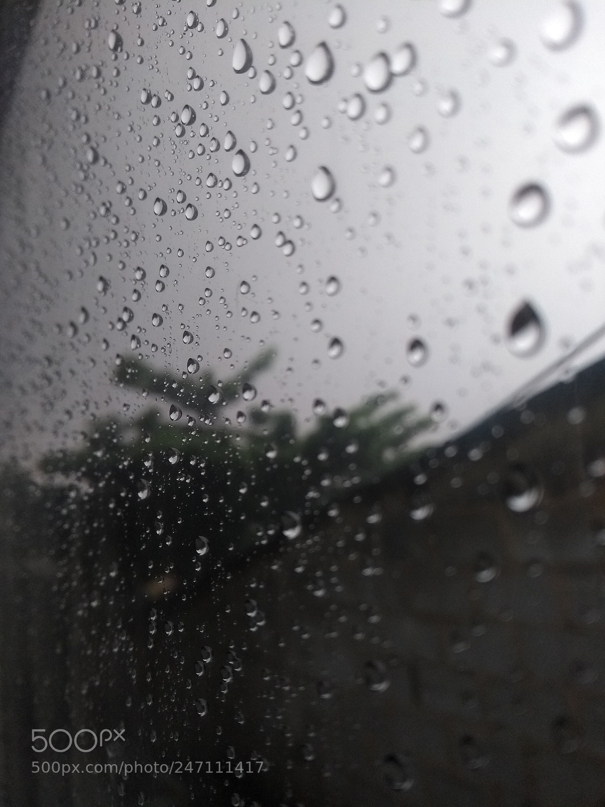 Motorola Moto G (5th Gen) sample photo. Untitled photography