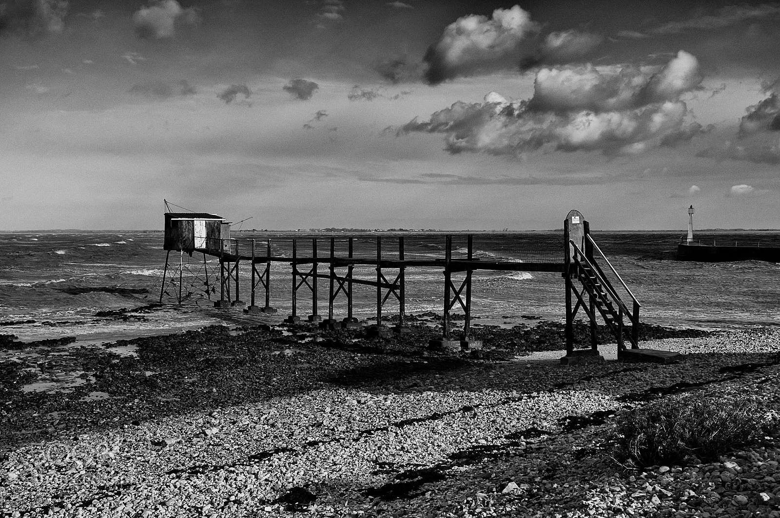 Fujifilm FinePix X100 sample photo. Prot g par la photography