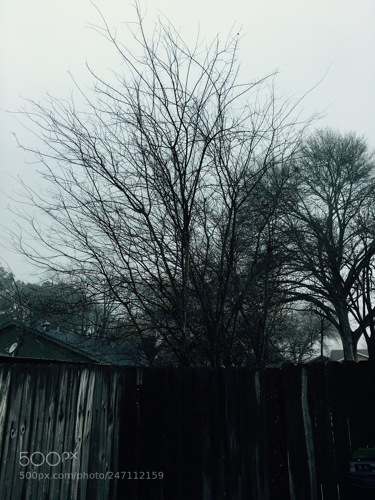 Apple iPhone 6s sample photo. Untitled photography