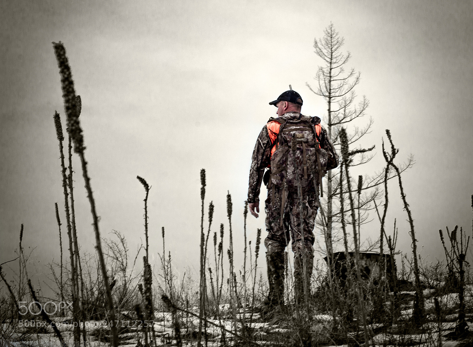 Nikon D610 sample photo. Elk hunting montana photography