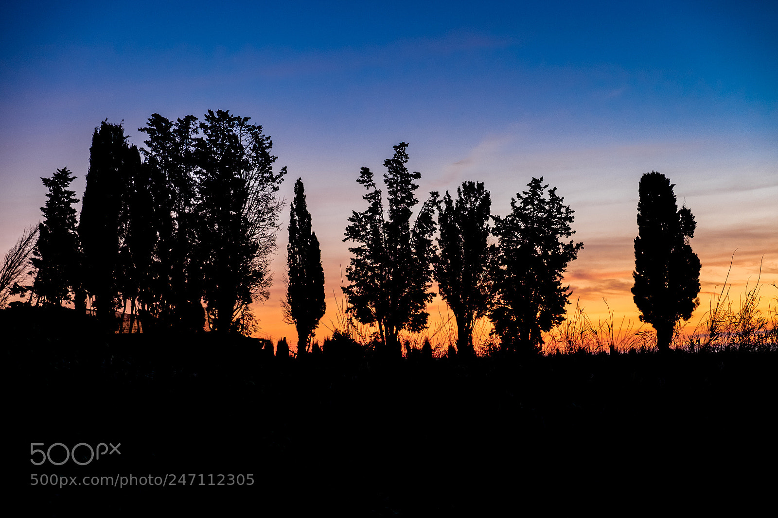 Fujifilm X-T10 sample photo. _dsf0003-3.jpg photography