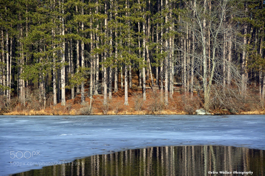 Nikon D7100 sample photo. Reflections at lake kanawauke photography