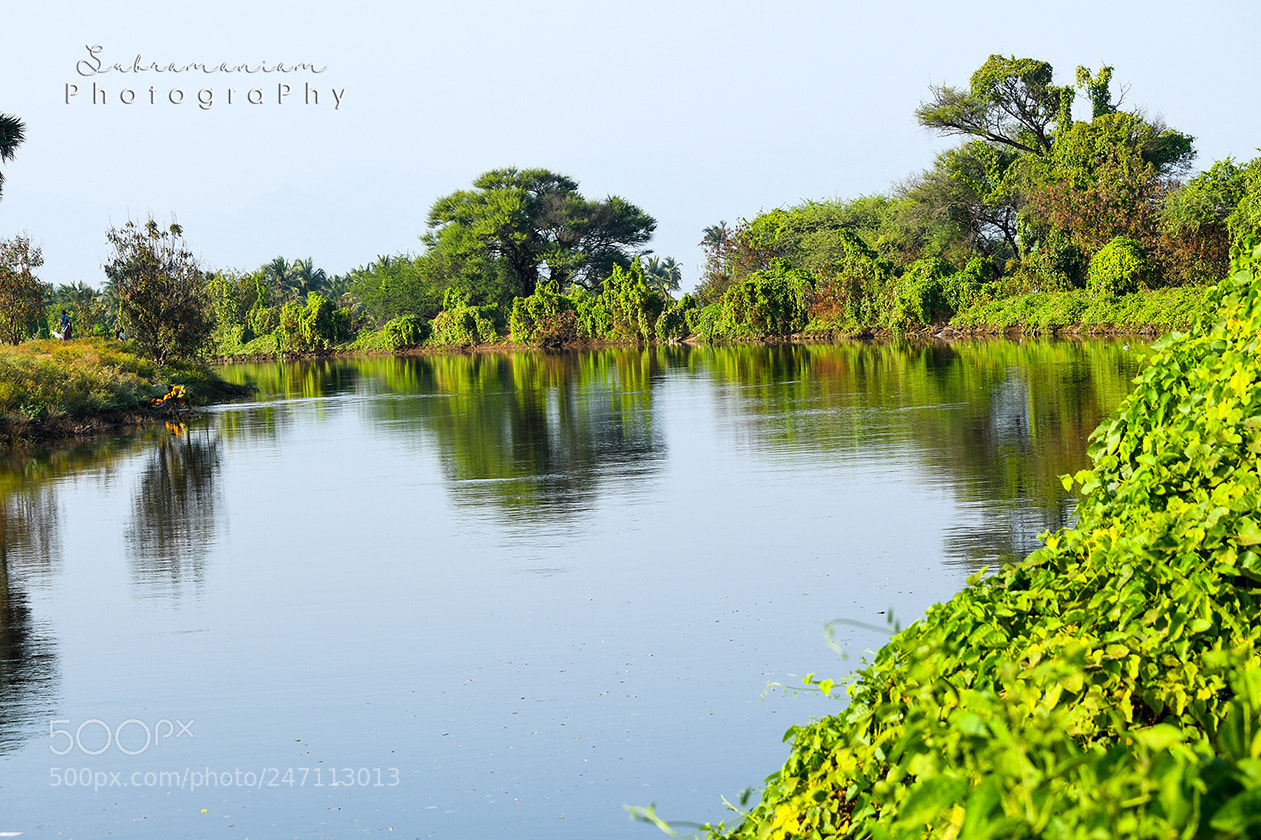 Nikon D850 sample photo. Copy photography