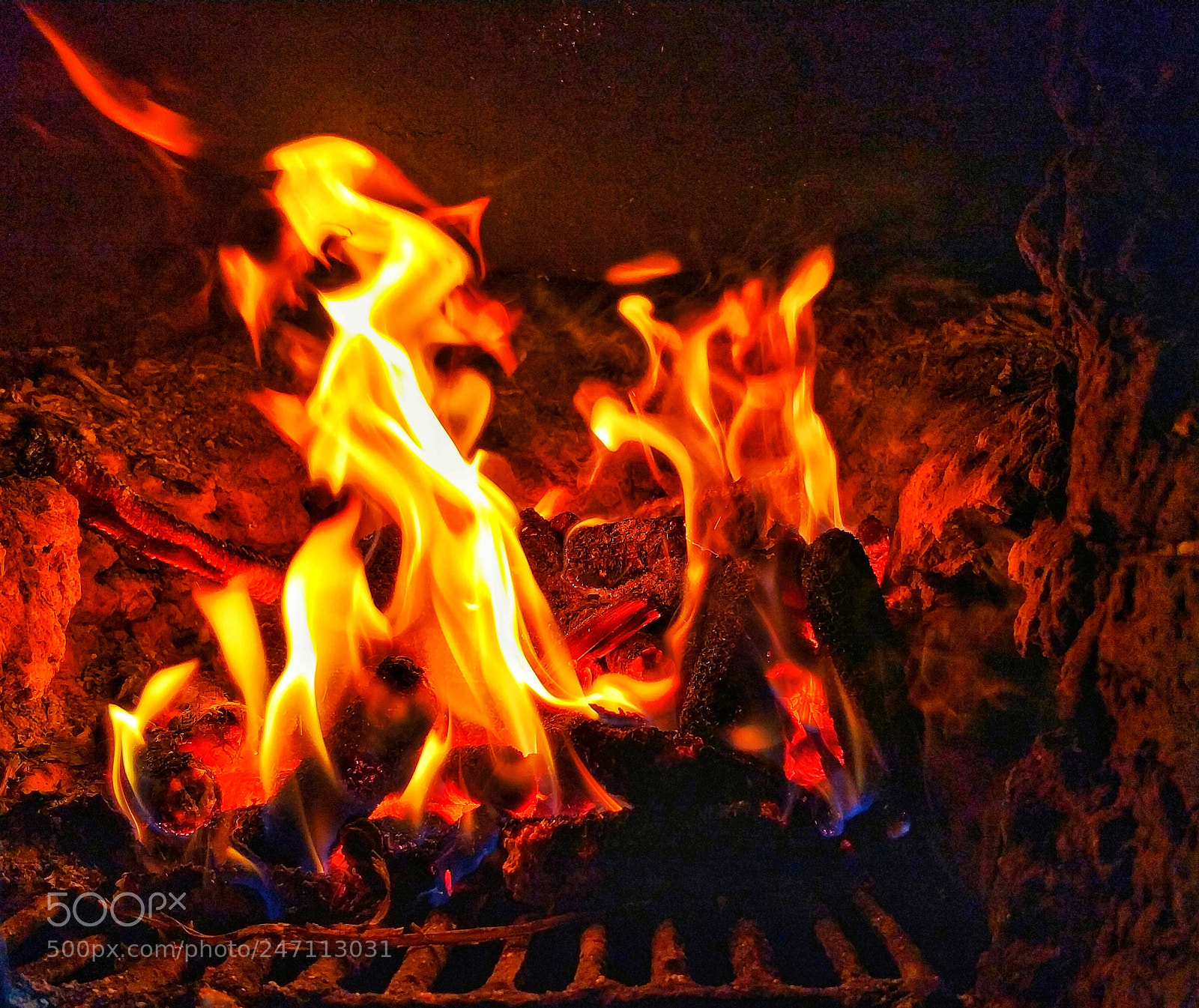 Xiaomi MI6 sample photo. Untitled photography