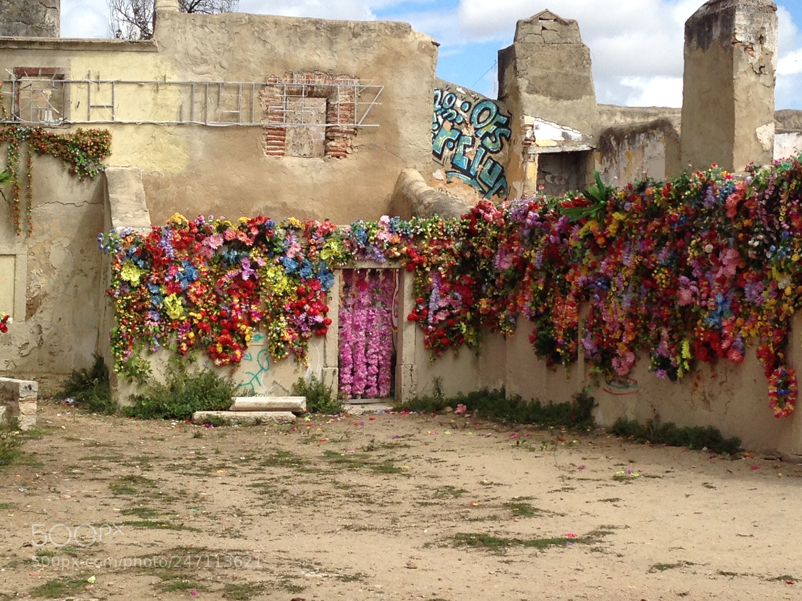 Apple iPhone 5 sample photo. Flowers on the wall photography