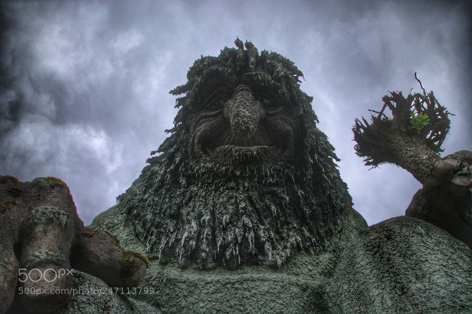 Nikon D5200 sample photo. Troll photography