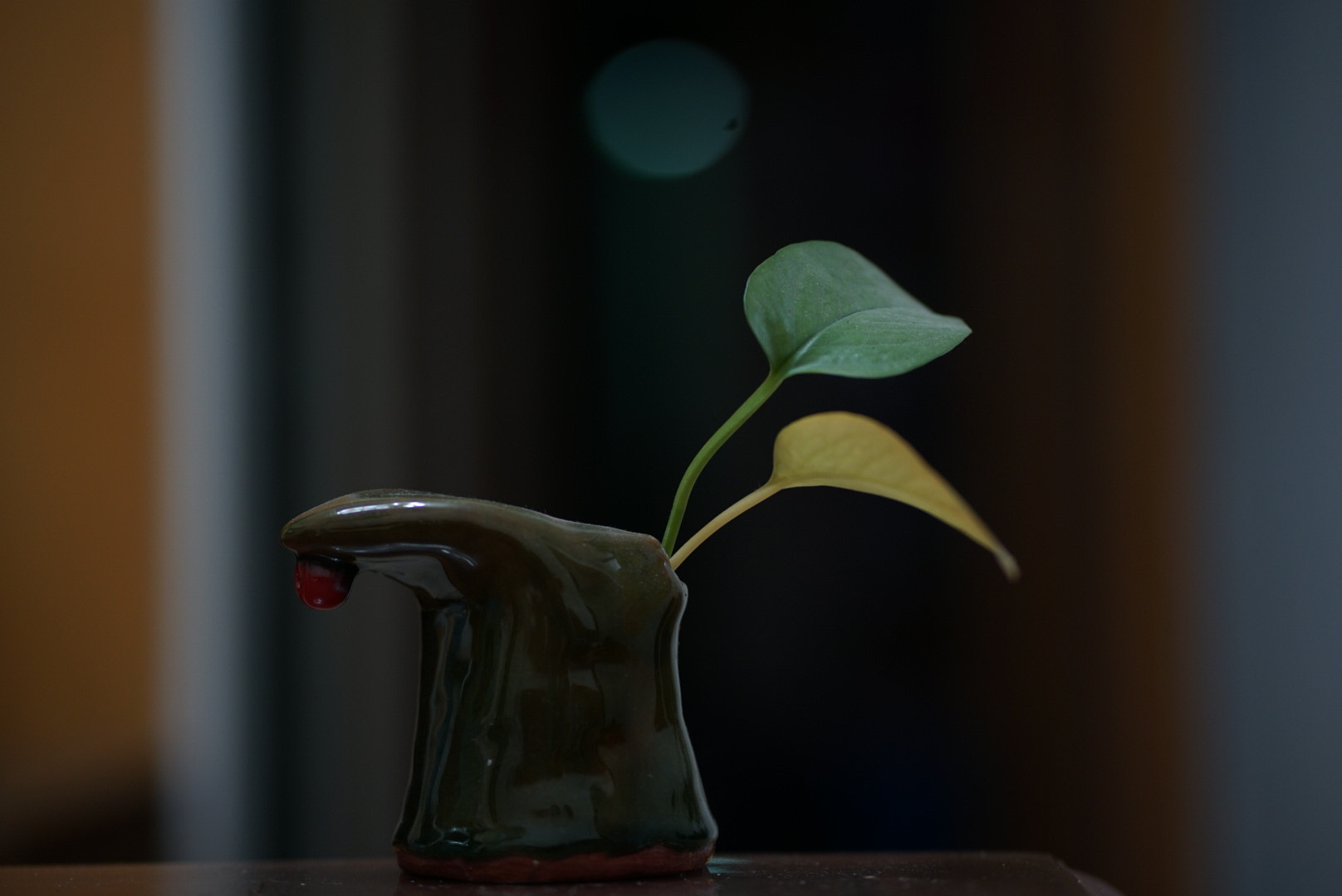 ZEISS Batis 85mm F1.8 sample photo