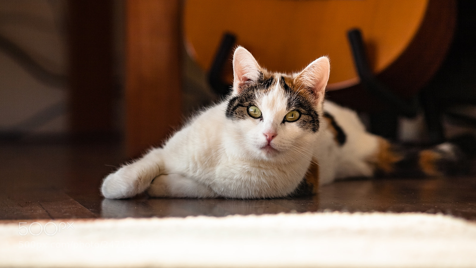 Canon EOS 5D sample photo. As shot. photography