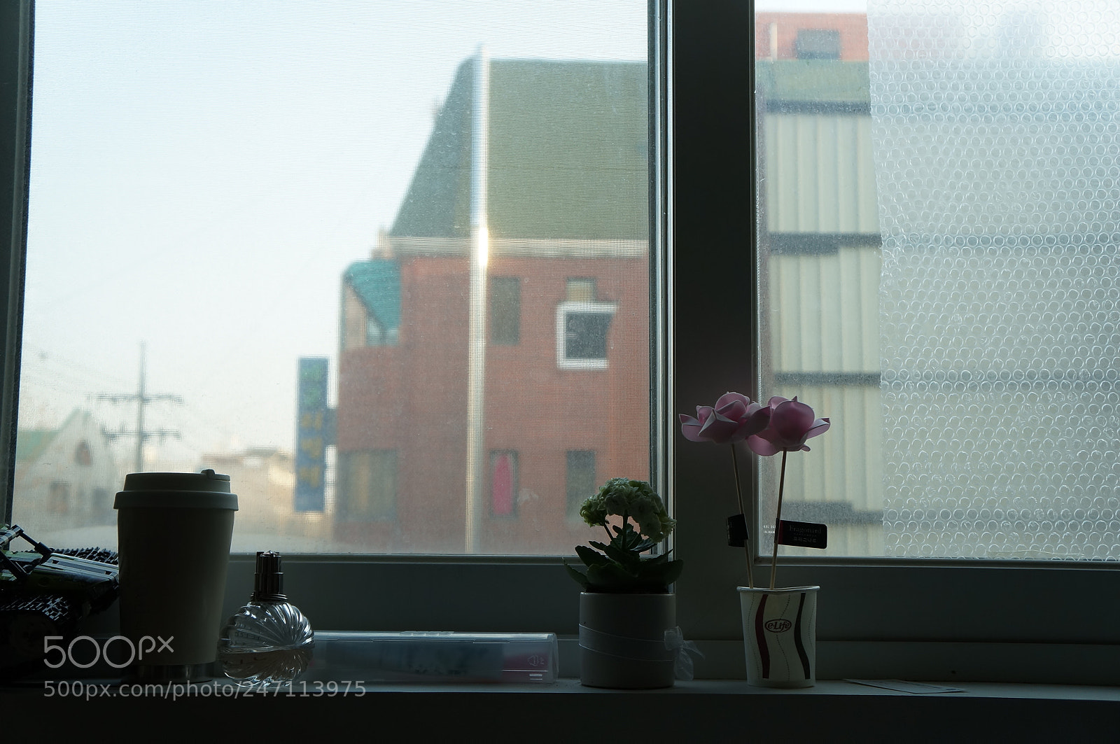 Sony Alpha NEX-F3 sample photo. Dsc photography