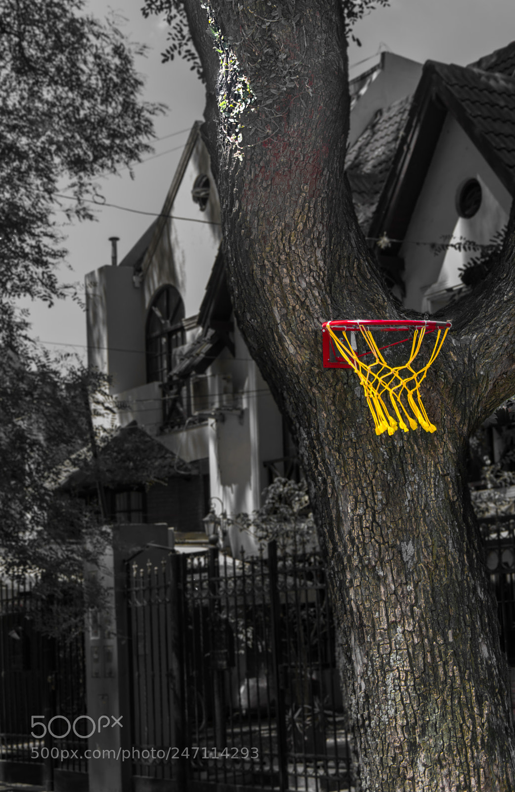 Nikon D3400 sample photo. Basketball hoop. photography