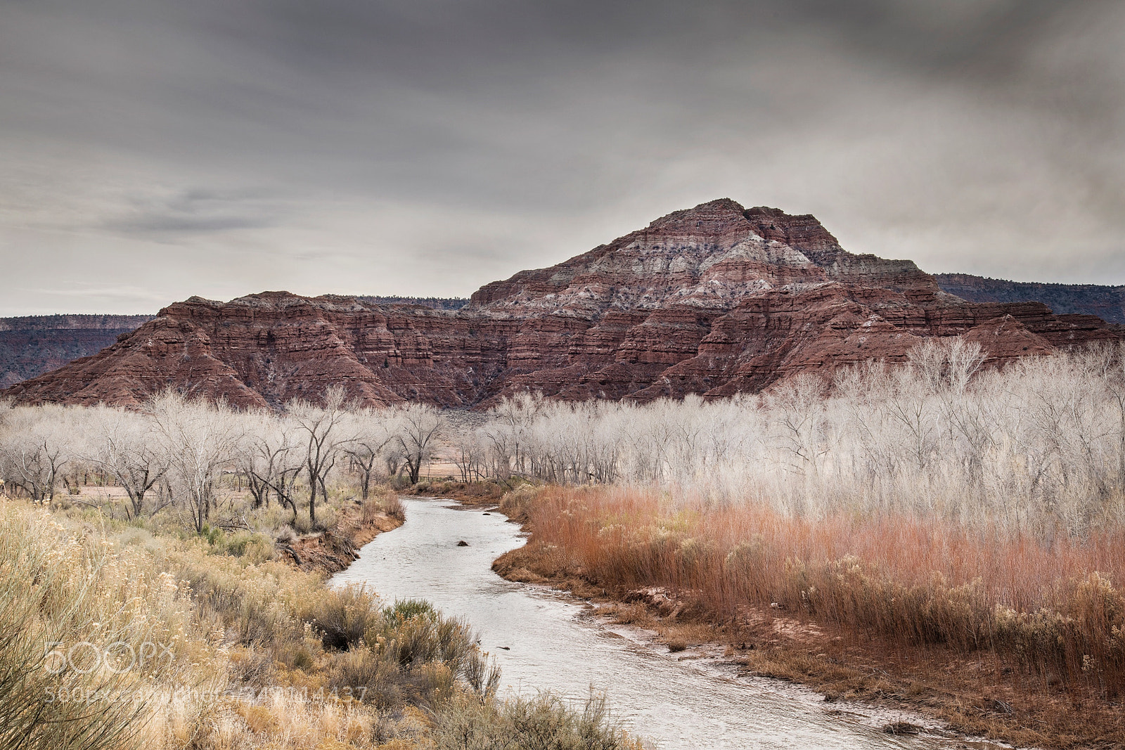 Nikon D850 sample photo. Approaching storm near springdale photography