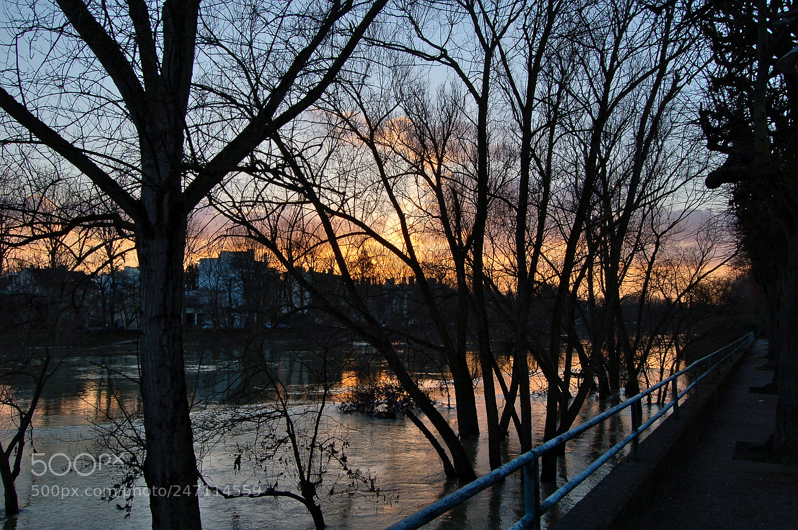 Nikon D50 sample photo. Balade sur les bords photography