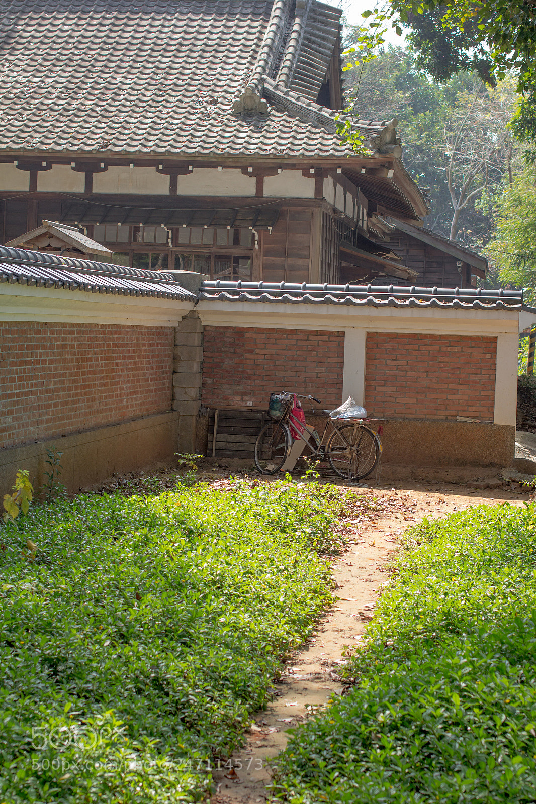 Canon EOS 60D sample photo. Img photography