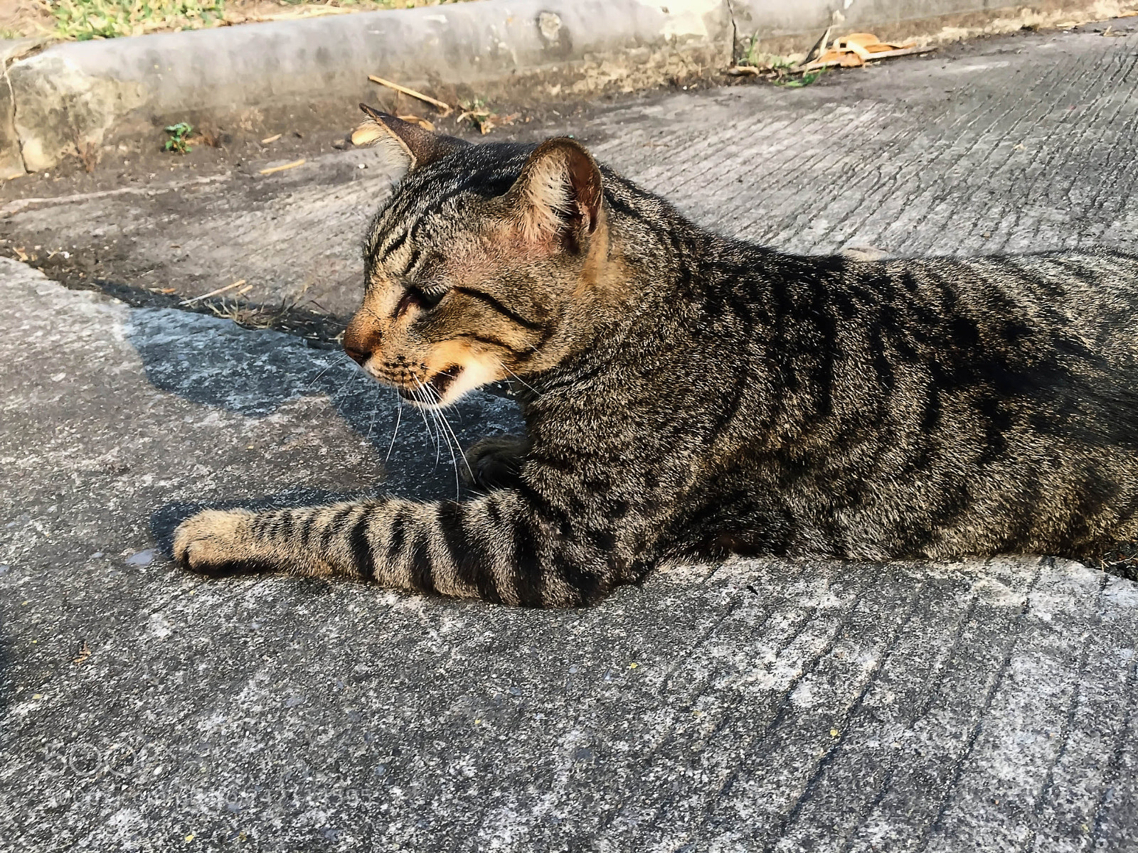 Apple iPhone 6 Plus sample photo. Apc_0079.jpg photography