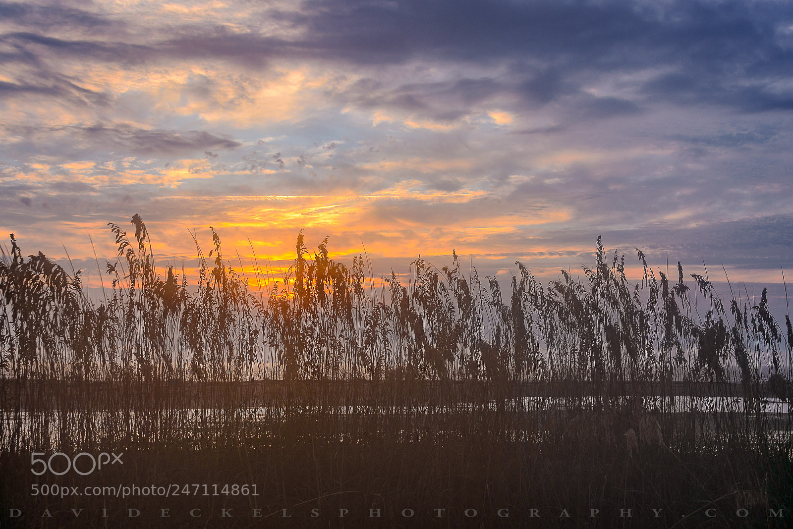 Nikon D800E sample photo. Tybee island dawn photography