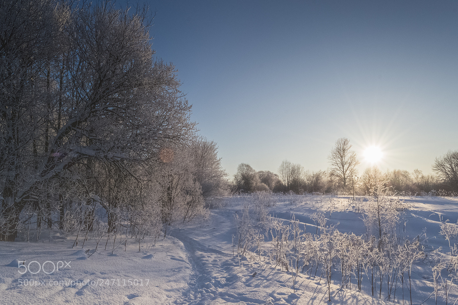 Nikon D3100 sample photo. ...winter v. photography