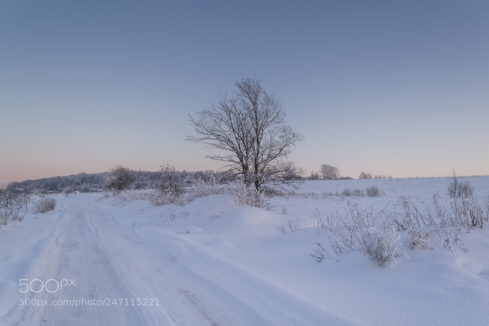 Nikon D3100 sample photo. ...winter vi. photography