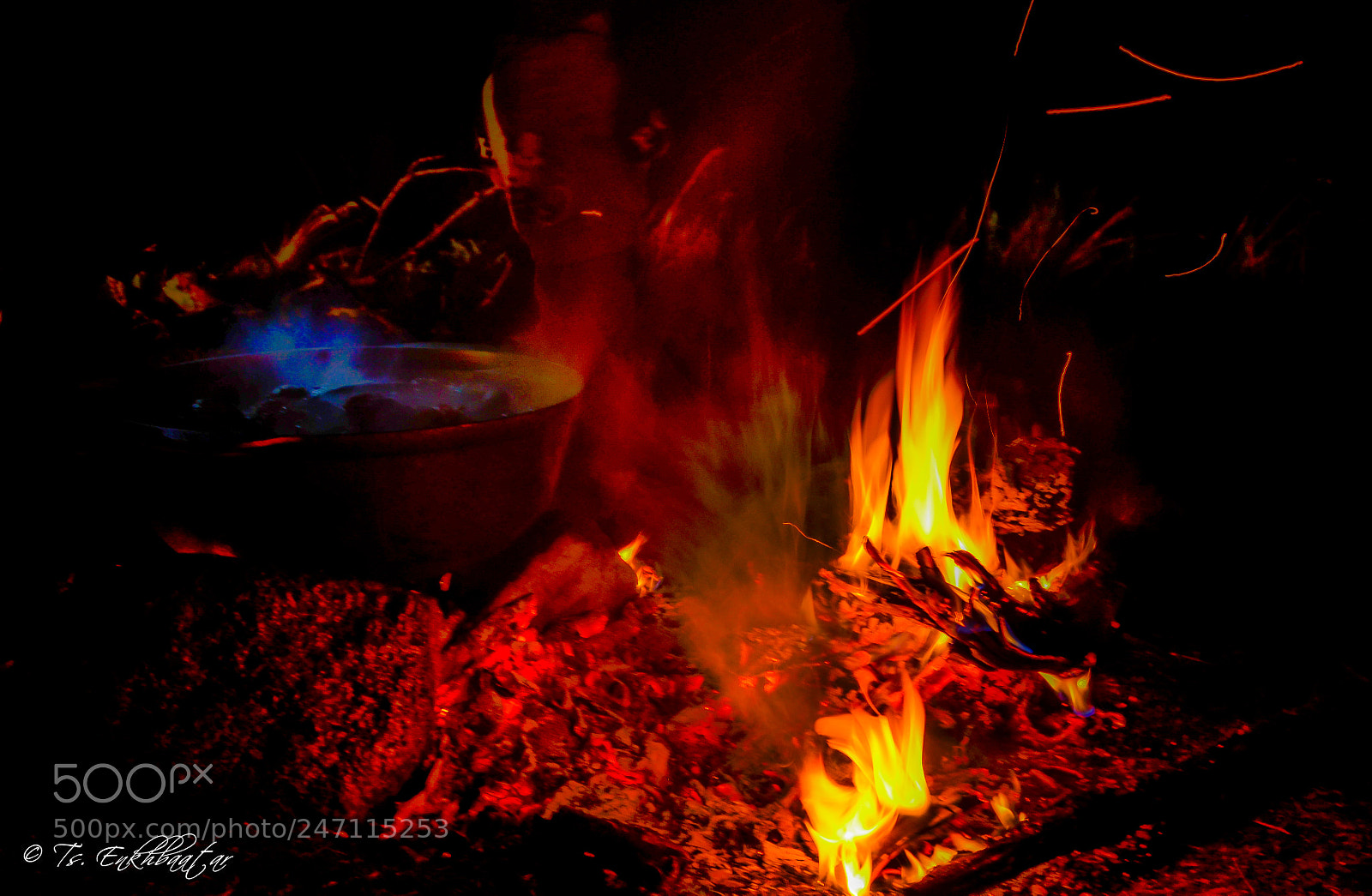 Nikon D5100 sample photo. ... photography