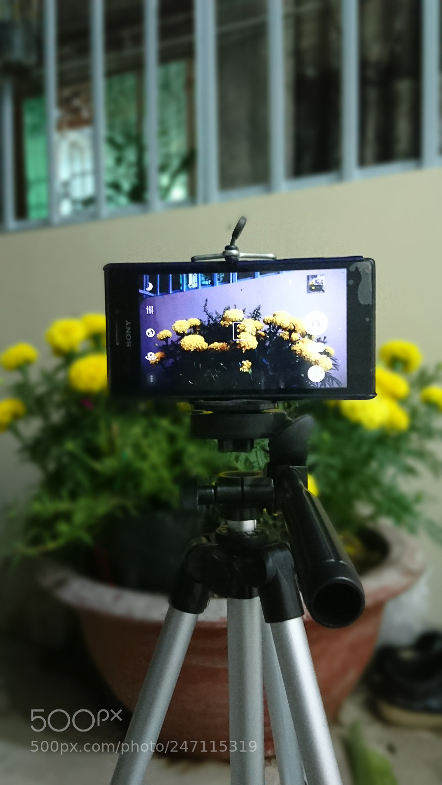 Sony Xperia XZ sample photo. Untitled photography