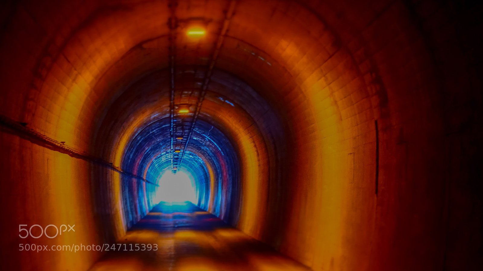 Olympus OM-D E-M1 sample photo. Countryside tunnel photography
