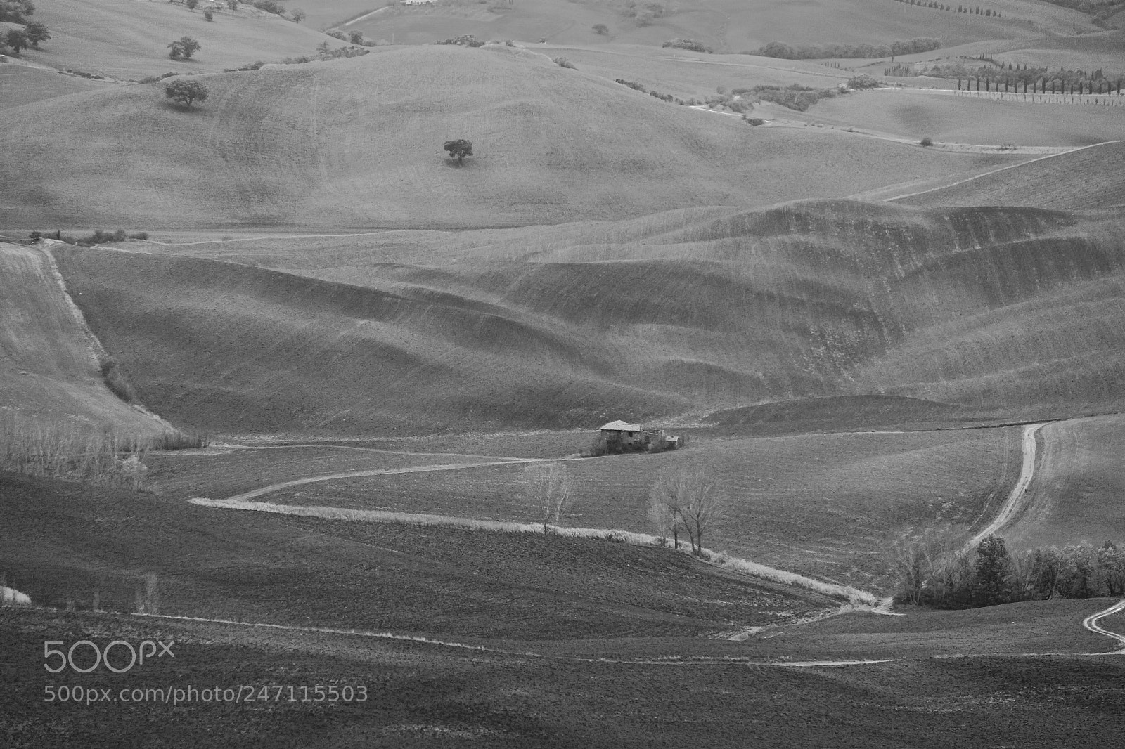 Canon EOS 100D (EOS Rebel SL1 / EOS Kiss X7) sample photo. Val d'orcia photography
