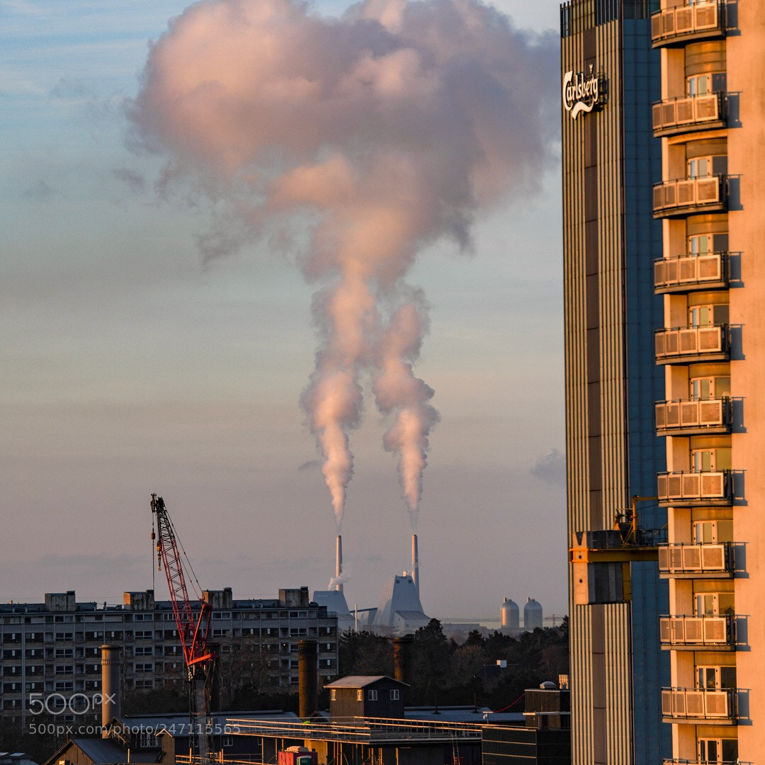 Nikon D850 sample photo. Nature of the city photography