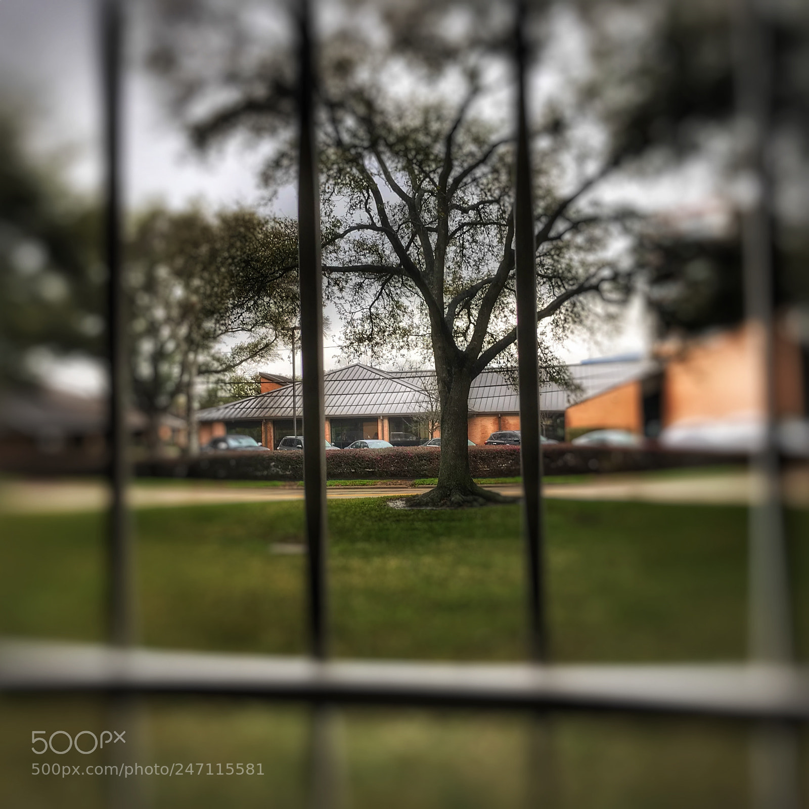 Apple iPhone 7 sample photo. Untitled photography