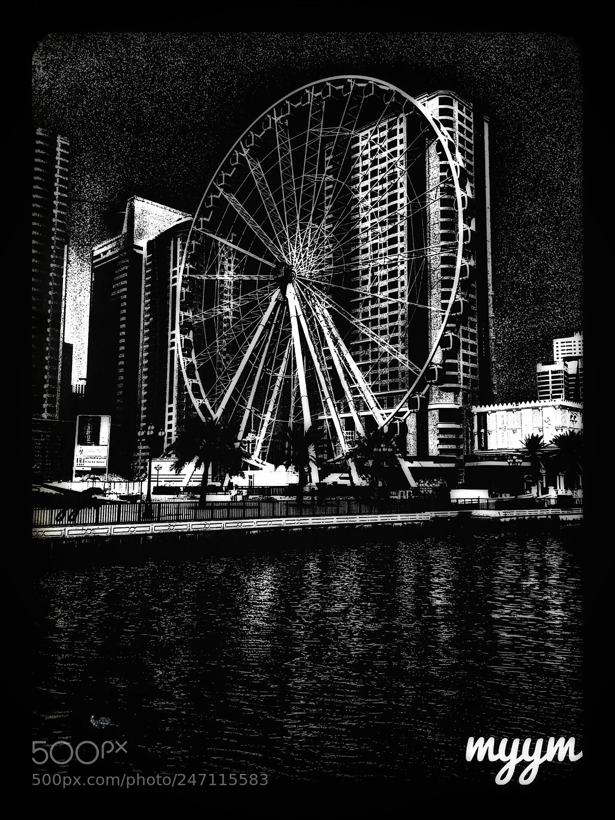 Apple iPhone 6 Plus sample photo. Myym photography