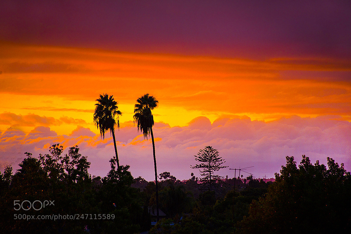 Nikon D610 sample photo. Sunset sky photography