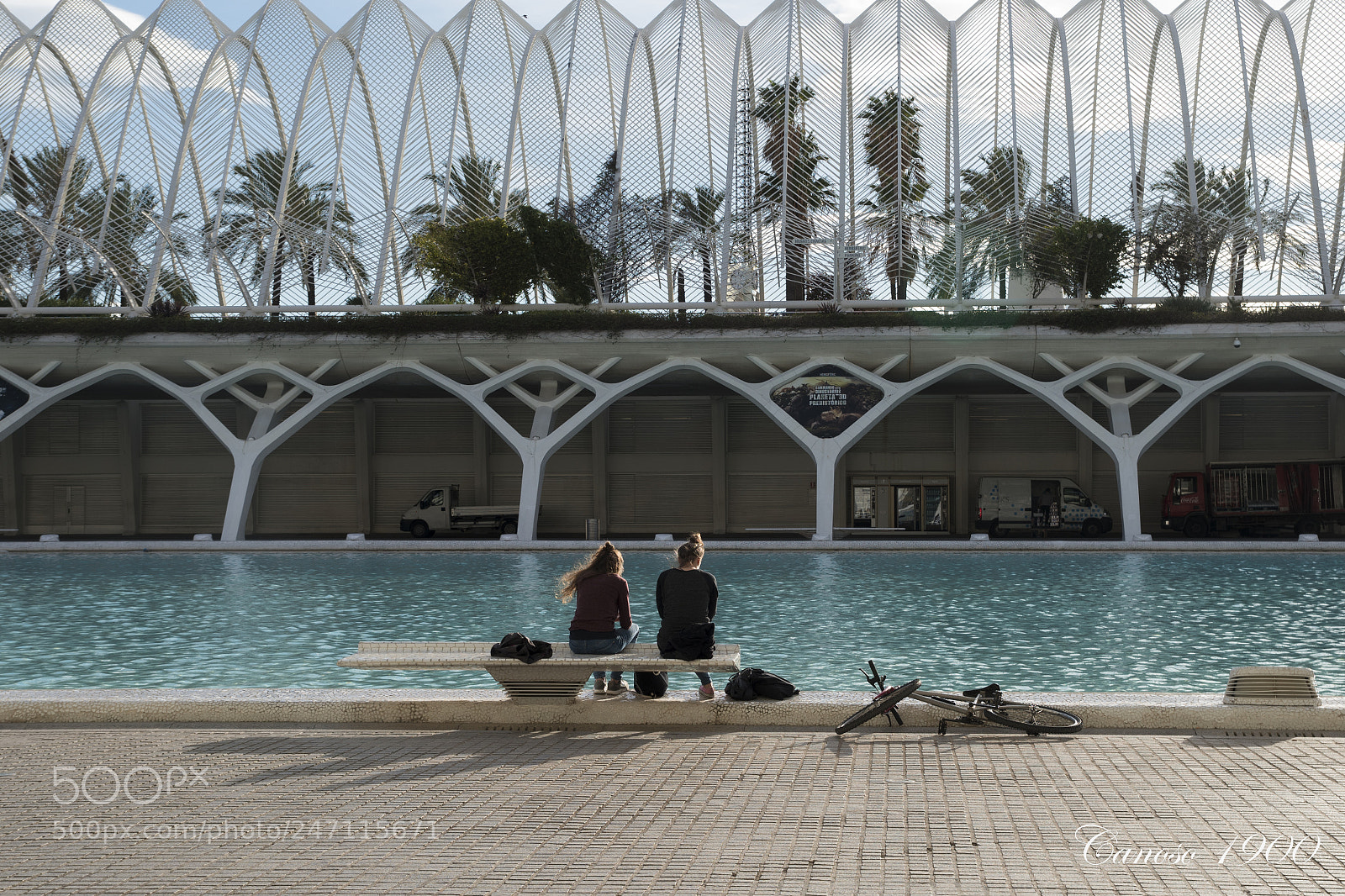 Nikon D810 sample photo. Descanso al sol photography