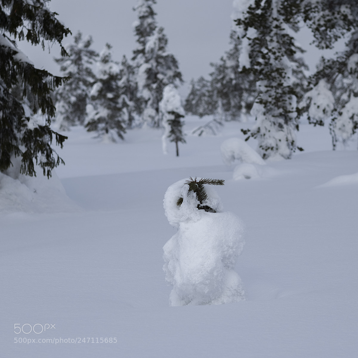 Fujifilm X-T2 sample photo. In the snow photography