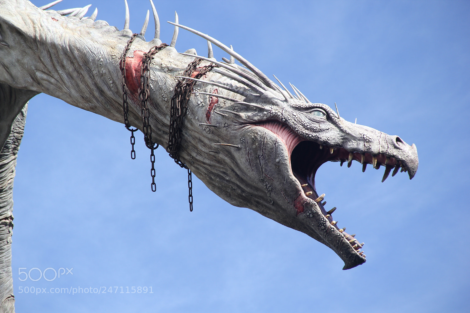 Canon EF-S 18-135mm F3.5-5.6 IS sample photo. Img photography