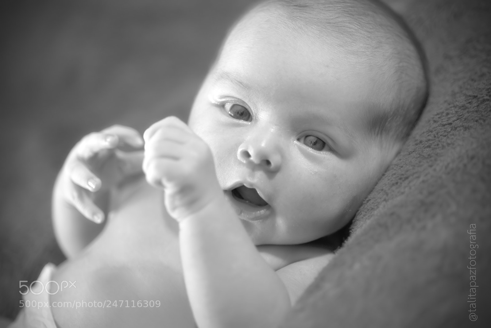 Nikon D610 sample photo. Filho de beatriz photography