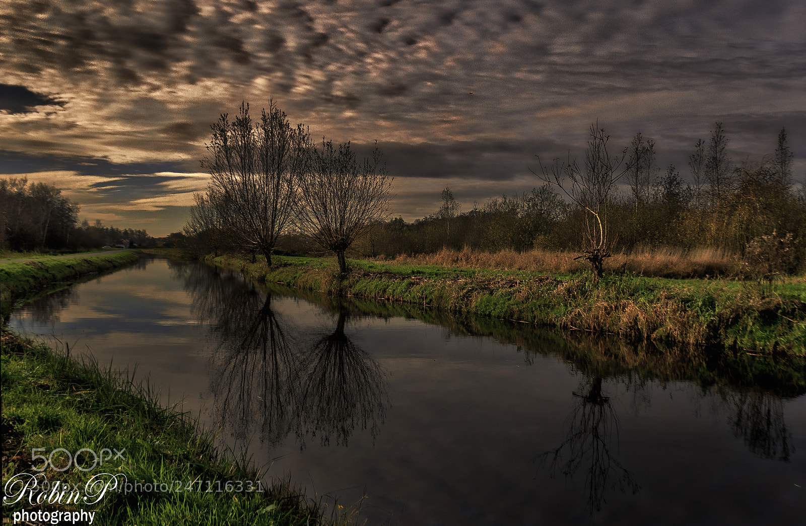 Nikon D5000 sample photo. Sunset photography