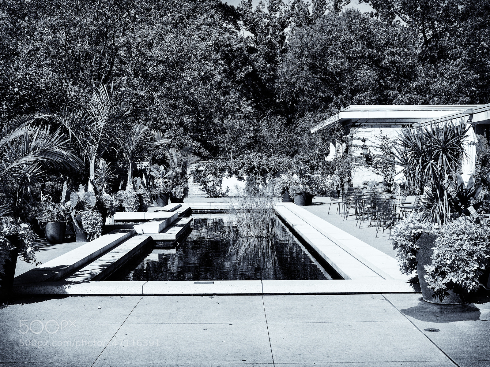 Olympus OM-D E-M10 II sample photo. By the pool photography