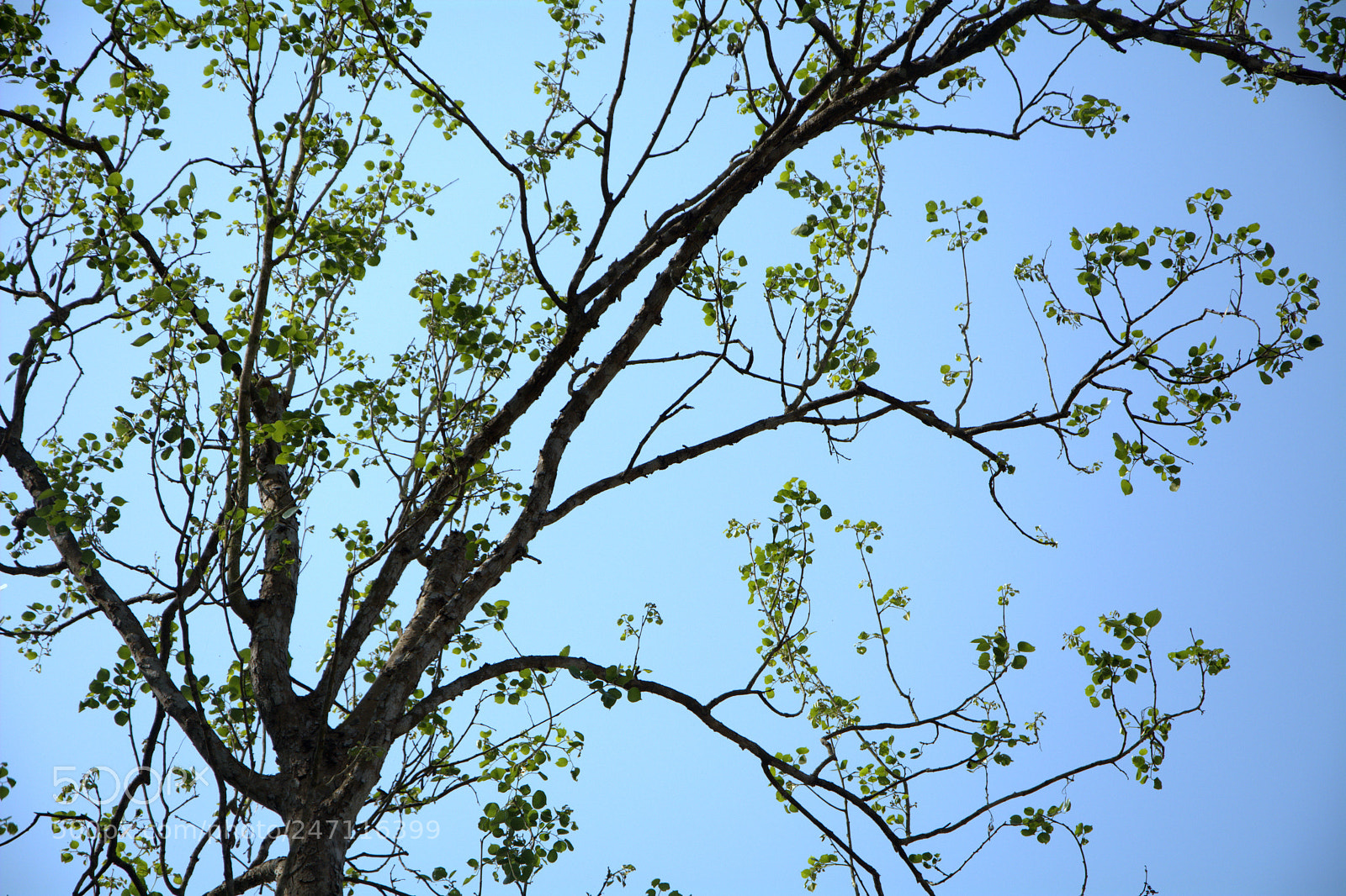 Nikon D7100 sample photo. Nature photography