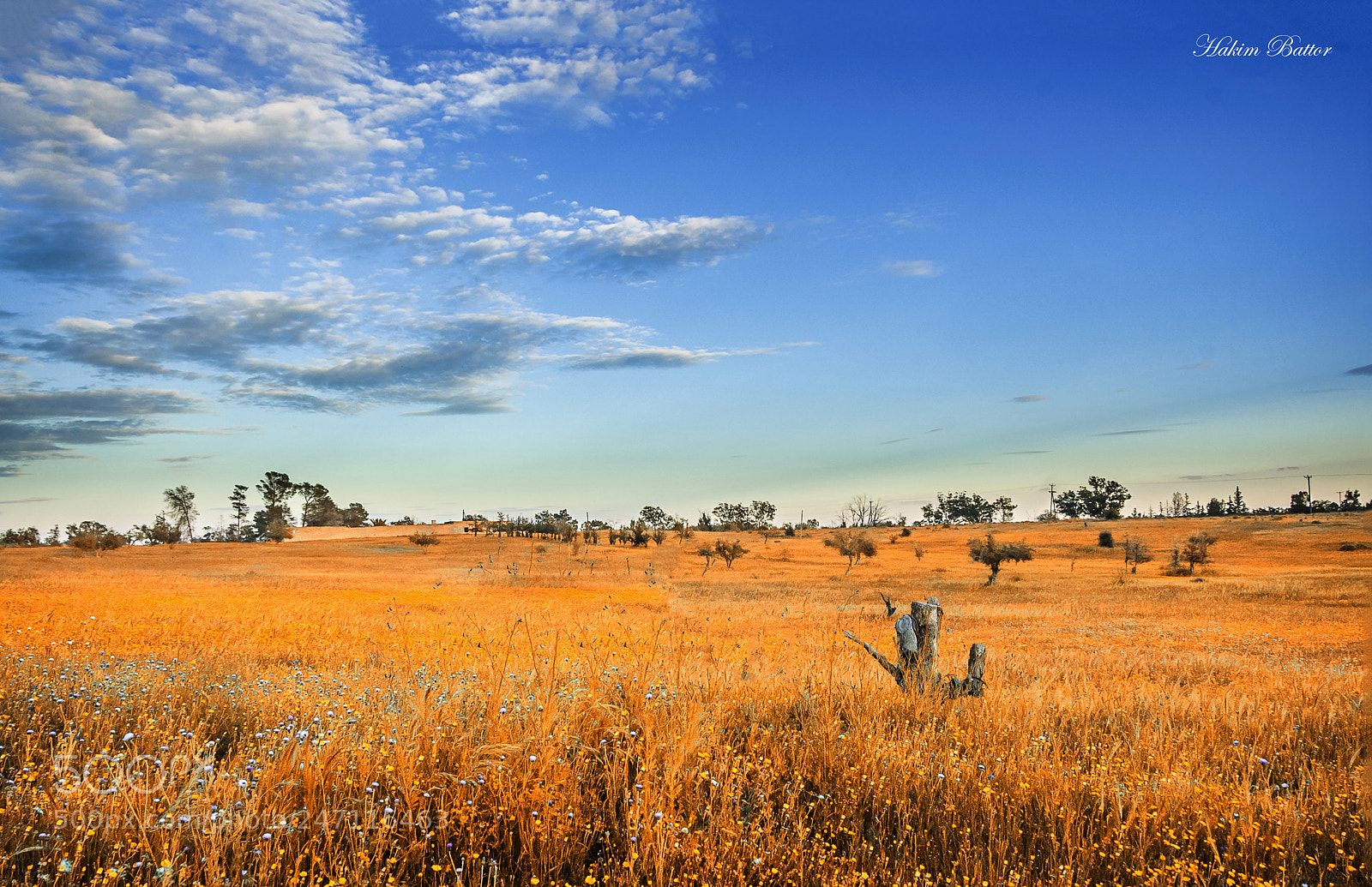 Nikon D70 sample photo. As smart object copy photography