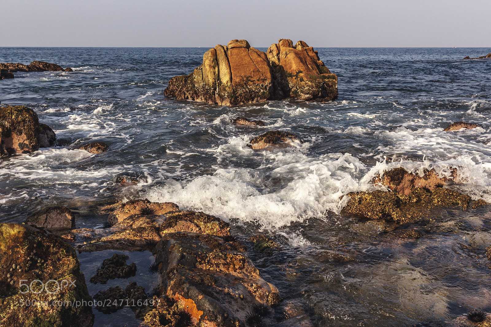 Canon EOS 600D (Rebel EOS T3i / EOS Kiss X5) sample photo. A wild beach called photography