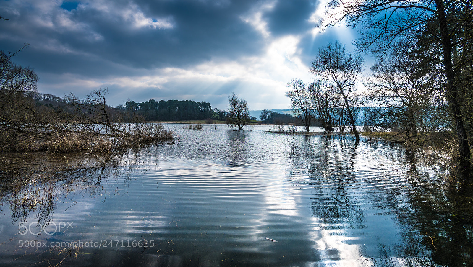 Nikon D850 sample photo. Blagdon lake - bristol photography