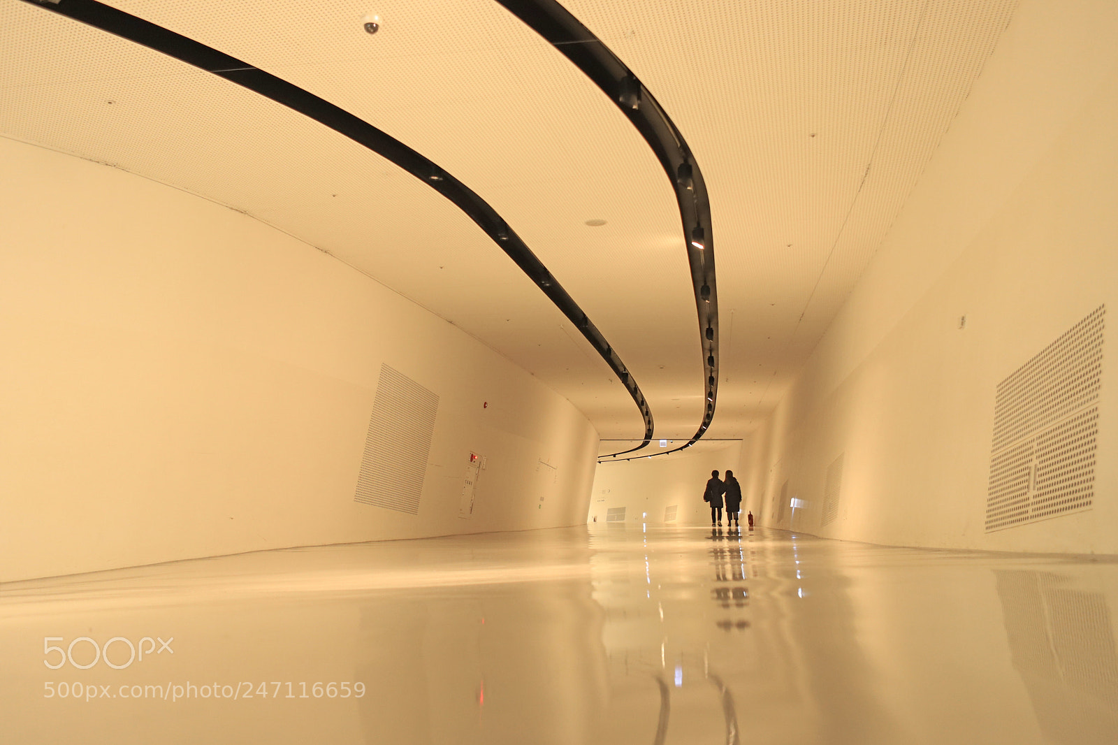 Canon EOS 6D Mark II sample photo. In a dream photography