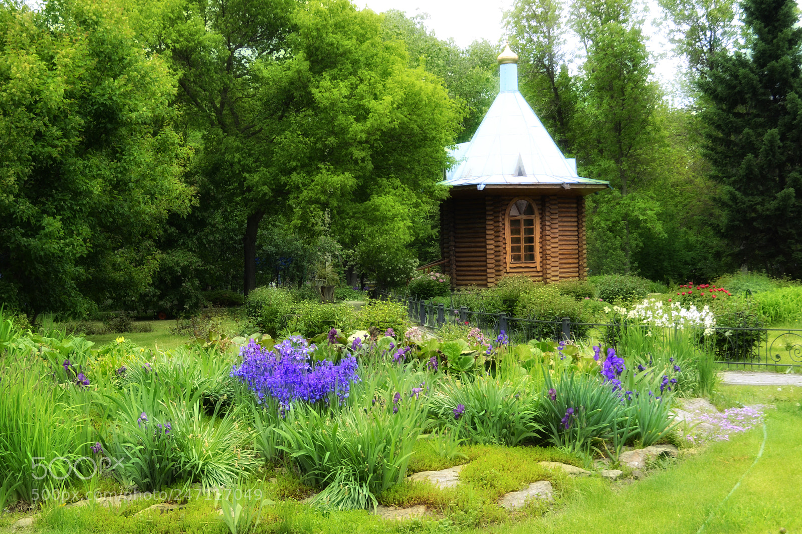 Nikon D3100 sample photo. Garden photography