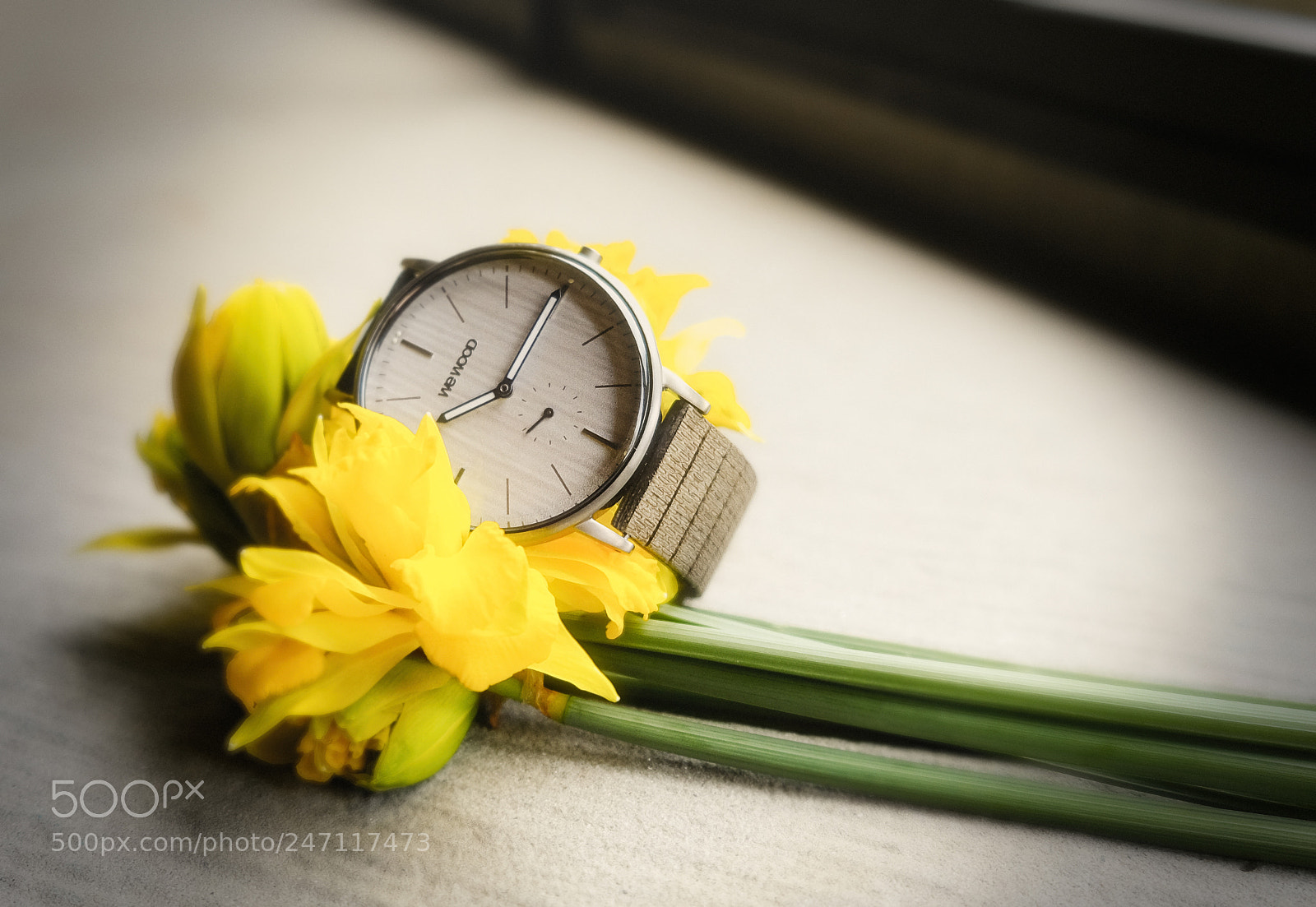 Fujifilm X-T2 sample photo. Ww albacore silver white photography