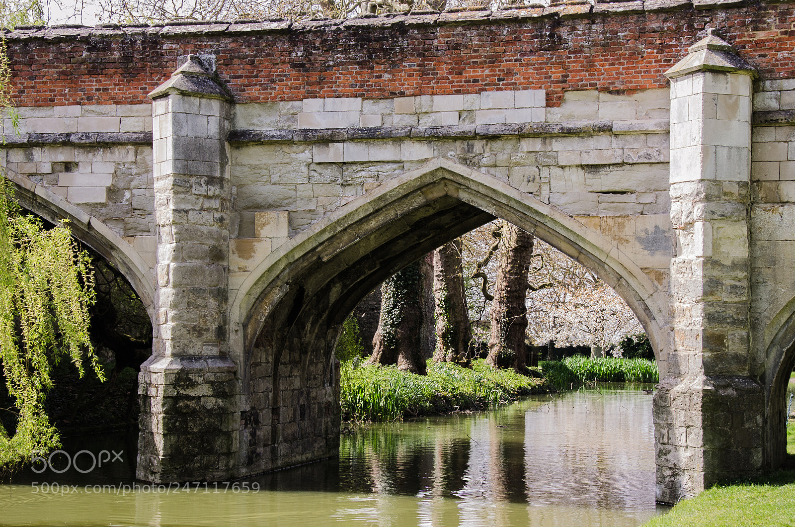 Nikon D5100 sample photo. The moat at eltham photography