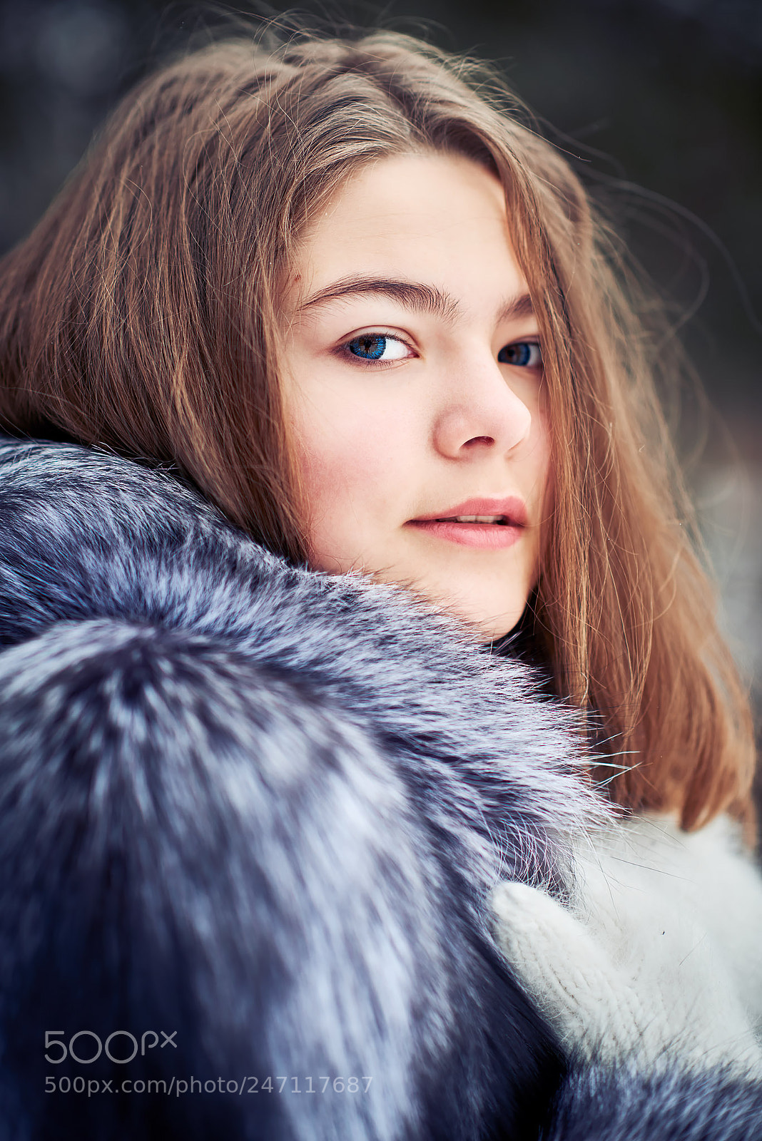 Nikon D800 sample photo. Untitled photography