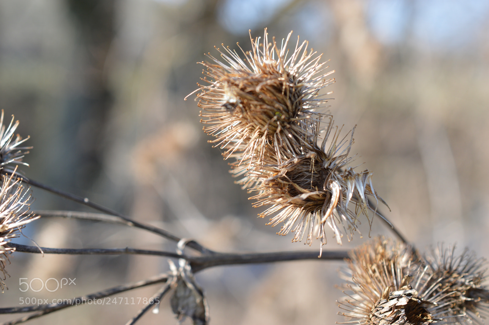 Nikon D3200 sample photo. Have a great weekend photography