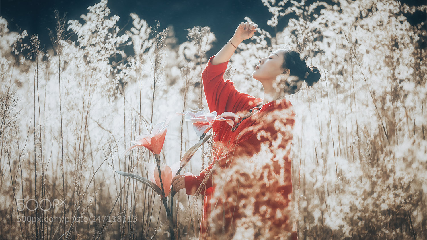 Canon EOS 5DS R sample photo. Untitled photography