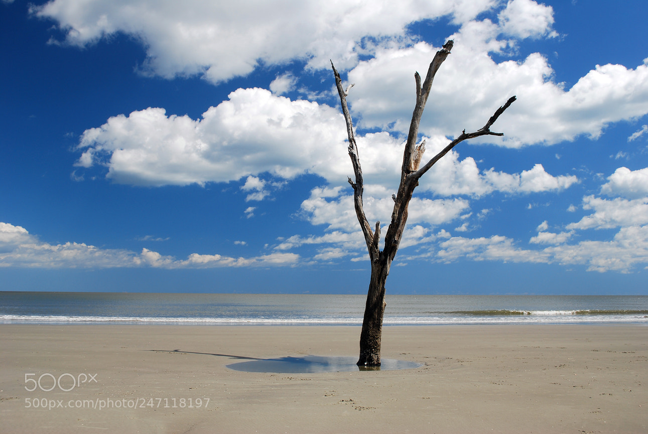 Nikon D60 sample photo. Hunting island beach photography