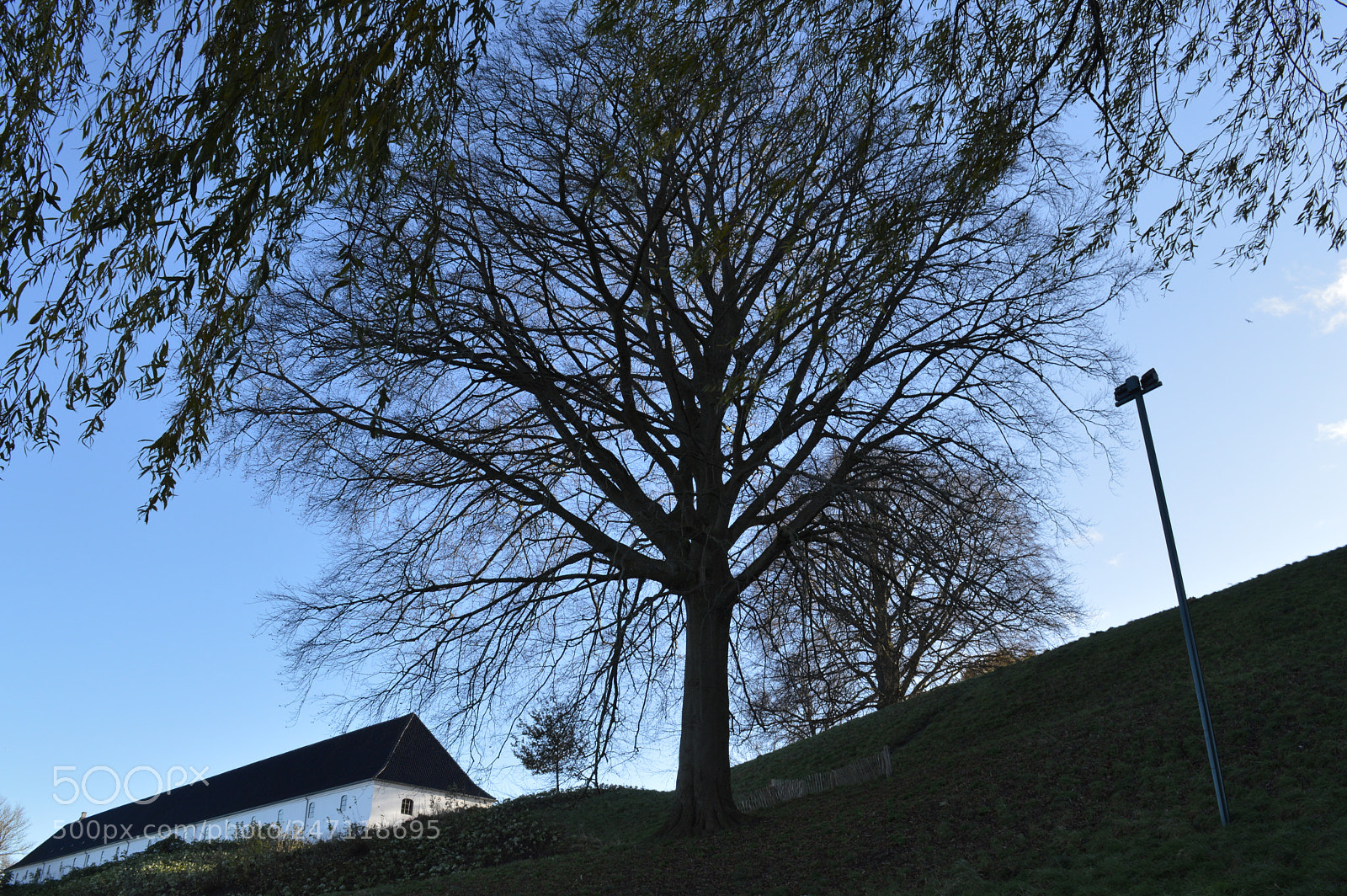 Nikon D3200 sample photo. Looking through photography