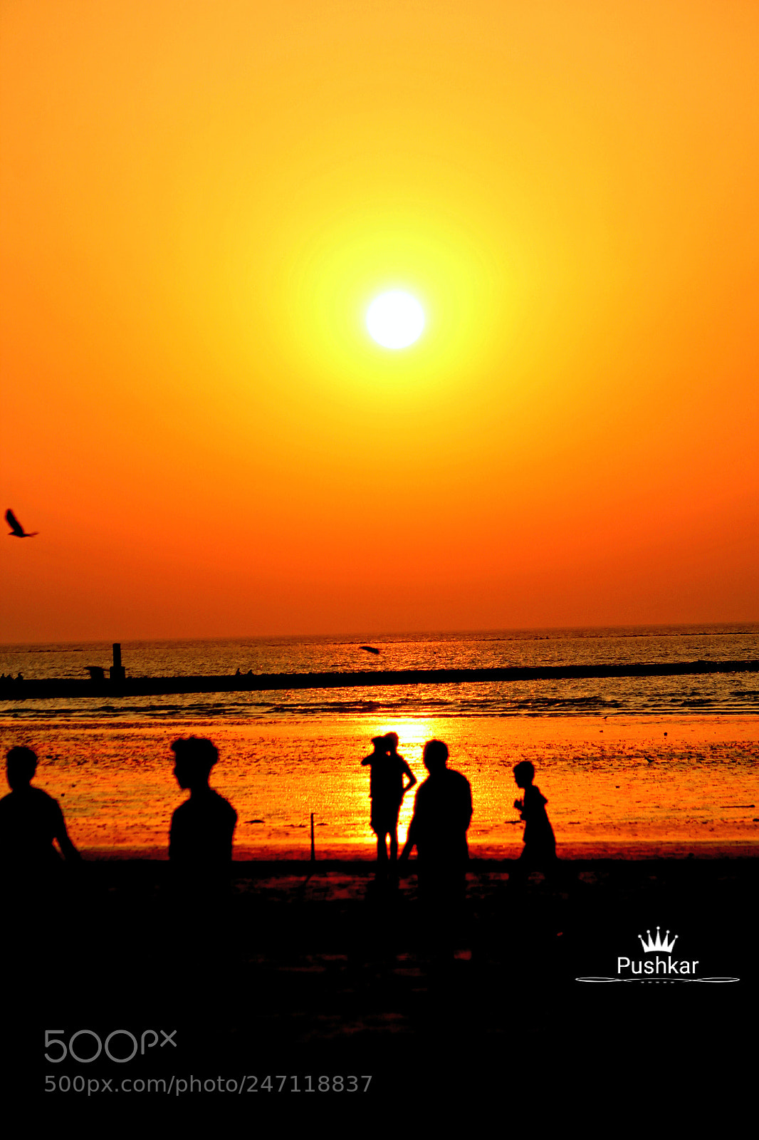 Canon EOS 1200D (EOS Rebel T5 / EOS Kiss X70 / EOS Hi) sample photo. Orange sky photography